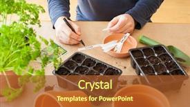  Presentation with home gardening - Colorful presentation design enhanced with planting at home man sowing backdrop and a tawny brown colored foreground