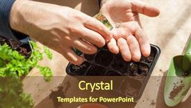  Presentation with home gardening - Slide deck having planting at home man sowing background and a tawny brown colored foreground