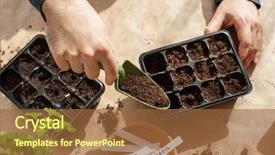  Presentation with home gardening - Amazing slide set having planting at home man sowing backdrop and a tawny brown colored foreground