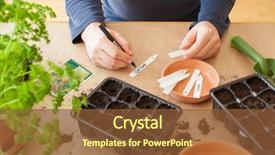  Presentation with home gardening - Amazing slide set having planting at home man sowing backdrop and a tawny brown colored foreground