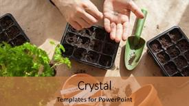  Presentation with home gardening - Presentation design consisting of planting at home man sowing background and a coral colored foreground