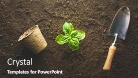  Presentation with vegetable garden - Presentation enhanced with planting-basil-in-the-vegetable background and a tawny brown colored foreground