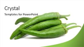  Presentation with pepper - Theme with planting chilly - green pepper background and a white colored foreground