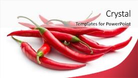  Presentation with fade blue painted red white - Cool new PPT theme with planting chilly - red chili peppers on white backdrop and a  colored foreground