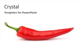  Presentation with chili - PPT theme having planting chilly - red hot chili pepper background and a white colored foreground