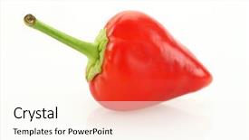  Presentation with red chilli - Colorful presentation theme enhanced with planting chilly - red mini chilli pepper close-up backdrop and a  colored foreground