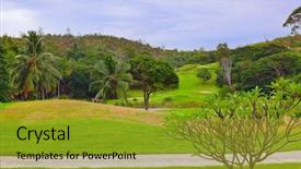  Presentation with red gold green field - Colorful slide deck enhanced with black friday sale tag backdrop and a  colored foreground.