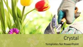  Presentation with planting the seed - Amazing slide set having closeup of handmade book and accessories on wooden background backdrop and a light gray colored foreground