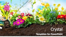  Presentation with planting seed in heart - Audience pleasing presentation theme consisting of planting flowers in sunny garden backdrop and a tawny brown colored foreground