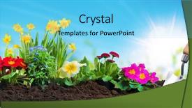  Presentation with garden - Audience pleasing presentation design consisting of planting flowers in sunny garden backdrop and a light blue colored foreground