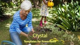  Presentation with flowers - Colorful PPT theme enhanced with planting flowers while granddaughter watering backdrop and a tawny brown colored foreground
