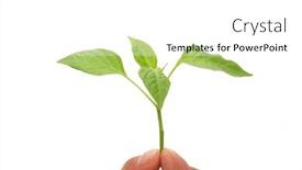  Presentation with save - 