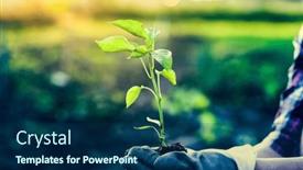  Presentation with bio - PPT layouts with planting-green-pepper-seedling background and a navy blue colored foreground