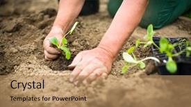  Presentation with vegetable garden - Slide deck consisting of planting his own vegetable garden background and a coral colored foreground