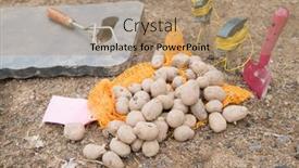  Presentation with vegetable gardening - Presentation theme featuring planting-potatoes-in-vegetable-garden background and a  colored foreground