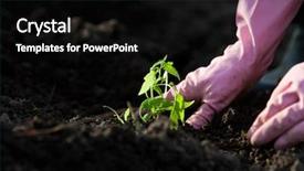  Presentation with healthy food - Amazing theme having planting seedlings in spring - organic backdrop and a black colored foreground
