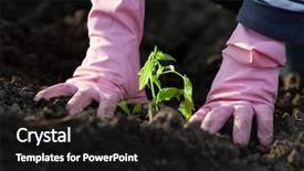  Presentation with transgenic plants food test - Amazing slide deck having planting seedlings in spring - organic backdrop and a black colored foreground