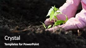  Presentation with transgenic plants food test - Colorful presentation theme enhanced with planting seedlings in spring - organic backdrop and a black colored foreground