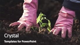  Presentation with fertilizer organic - Cool new slides with planting seedlings in spring - organic backdrop and a dark gray colored foreground