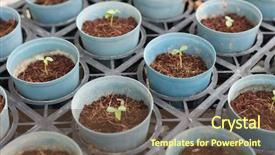  Presentation with agriculture planting - Presentation design consisting of planting seeds - agriculture seeding plant seed growing background and a  colored foreground