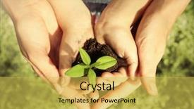  Presentation with soil - Slide deck consisting of planting seeds - child and adult holding soil background and a yellow colored foreground