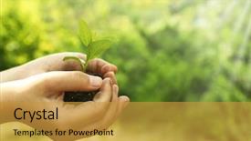  Presentation with hands holding - Colorful slide deck enhanced with planting seeds - child holding soil and plant backdrop and a gold colored foreground