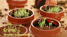  Presentation with water droplets - Slides enhanced with insured family standing under umbrella isolated on white background and a lemonade colored foreground
