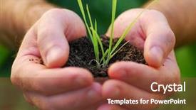  Presentation with seed - Presentation design consisting of planting seeds - hand holding plant seed background and a tawny brown colored foreground