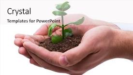  Presentation with seedling - Presentation theme consisting of planting seeds - hand holding seedling in new background and a white colored foreground