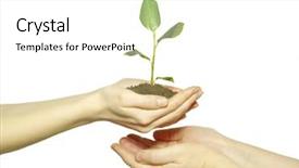  Presentation with holding hands - Colorful PPT layouts enhanced with planting seeds - hands holding sapling in soil backdrop and a  colored foreground