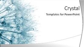  Presentation with abstract blue white - Colorful theme enhanced with planting seeds - super macro blue dandelion backdrop and a white colored foreground
