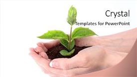  Presentation with floral border over white - Presentation having planting seeds - young plant in hand background and a white colored foreground