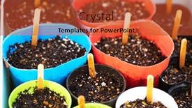  Presentation with seeds - Presentation having planting-seeds-seeds-planted background and a red colored foreground