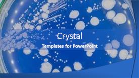  Presentation with petri dish - Presentation theme with planting-soil-microflora background and a teal colored foreground