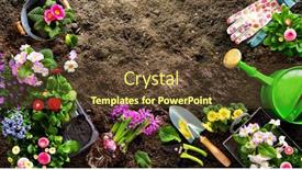  Presentation with horticulture - Amazing presentation design having planting-spring-flowers backdrop and a tawny brown colored foreground