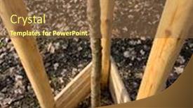  Presentation with green trees in park - PPT layouts consisting of planting-trees-in-public-city background and a tawny brown colored foreground