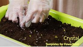  Presentation with recycle plastic - Slide deck having planting-vegetable-with-recycle-plastic background and a  colored foreground