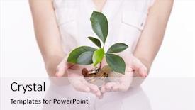  Presentation with sprouting plant - Beautiful slides featuring business growth plants - woman's hands holding plant sprouting backdrop and a sky blue colored foreground