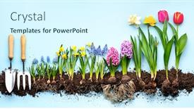  Presentation with plants - Audience pleasing PPT theme consisting of plants-and-gardening-tools backdrop and a cool aqua colored foreground