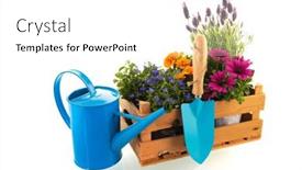  Presentation with gardening - Presentation design enhanced with plants-and-gardening-tools background and a white colored foreground