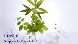  Presentation with plants - Cool new PPT theme with plants and laboratory backdrop and a sky blue colored foreground