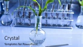  Presentation with plant biotechnology - Slide set featuring plants and laboratory background and a light blue colored foreground