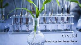  Presentation with plants - Beautiful presentation featuring plants and laboratory backdrop and a light blue colored foreground