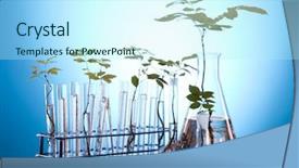  Presentation with plant biology - Beautiful PPT theme featuring plants and laboratory backdrop and a arctic colored foreground