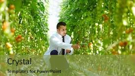  Presentation with greenhouse - Slide deck featuring plants and learning their characteristics background and a gold colored foreground