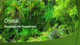  Presentation with africa jungle - Slides with technology internet and networking background and a dark gray colored foreground.