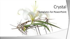  Presentation with easter lily - Colorful presentation design enhanced with plants bible - crown of thorns and easter backdrop and a  colored foreground