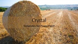  Presentation with plastic bales at the waste - Amazing PPT theme having plants bible - meadow of hay bales backdrop and a gold colored foreground