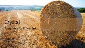  Presentation with plastic bales at the waste - Amazing slide deck having plants bible - meadow of hay bales backdrop and a  colored foreground