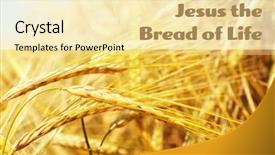  Presentation with jesus bread - Slide deck enhanced with plants bible - text jesus the bread background and a blonde colored foreground